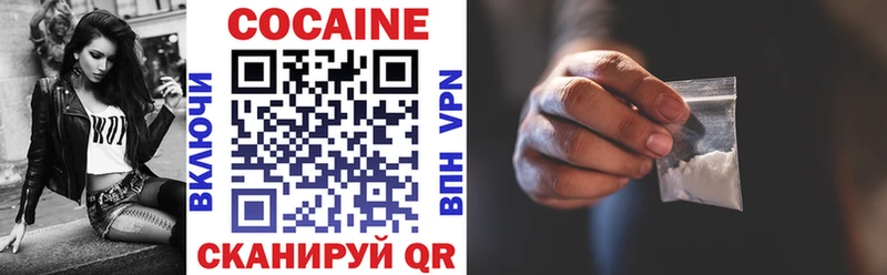 где купить Шарья COCAIN Эквадор