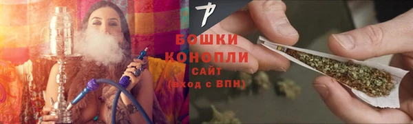 прущие грибы Абаза