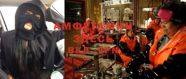 прущие грибы Абаза