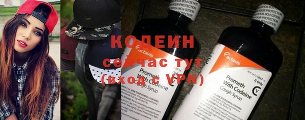 прущие грибы Абаза