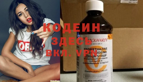 прущие грибы Абаза