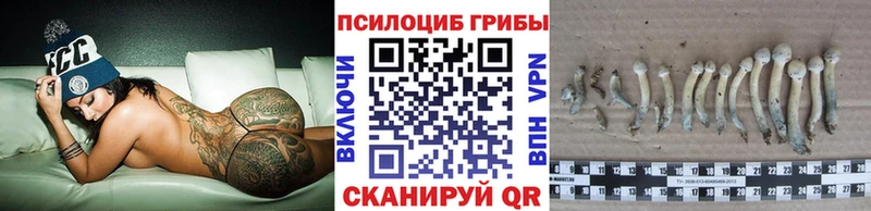 Галлюциногенные грибы мухоморы  даркнет сайт  Шарья 